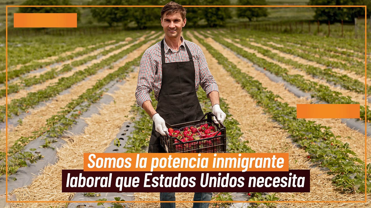 potencia inmigrante laboral